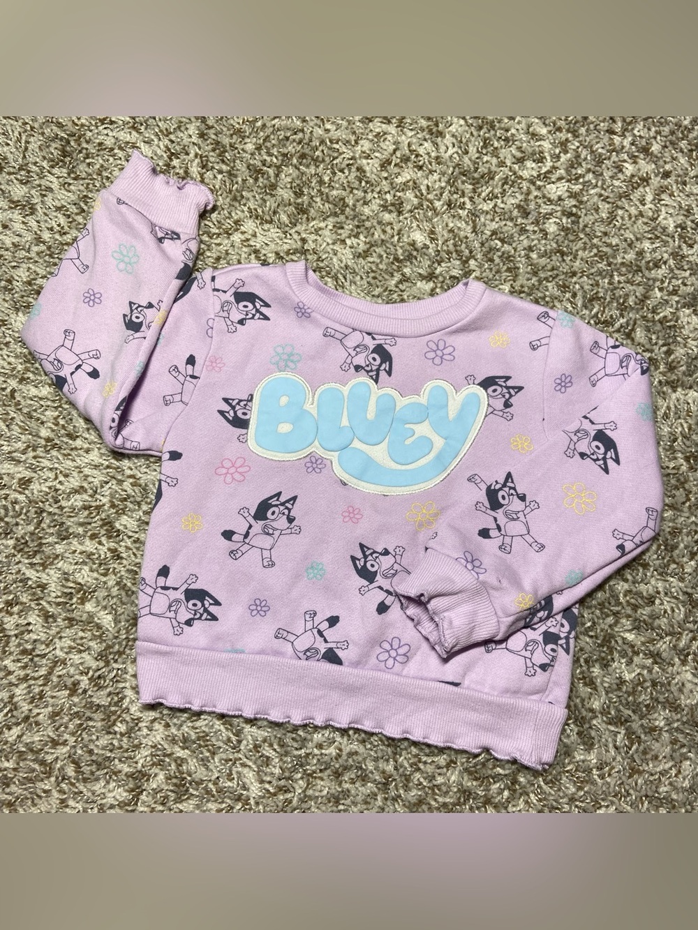 Bluey Purple Pullover Sweatshirt Size 3T